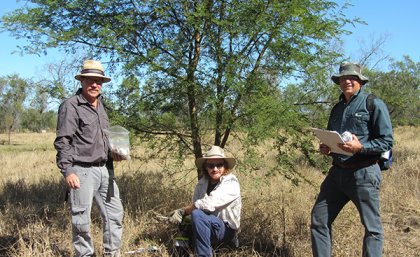 Professor Vic Galea, Paul Humphreys (Ecosure) and Peter Riikonen attending a trial site in Rockhampton.